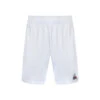 Le Coq Sportif Replica 22 N°2 Shorts Men -Tennis Zone Shop 00093000 000