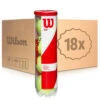 Wilson Team W Practice 18x 4 Ball Tube In A Box 2 Wilson Team W Practice 18x 4 Ball Tube In A Box -Tennis Zone Shop 0157800000 000