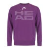 Head Rally Sweatshirt Men 2 Head Rally Sweatshirt Men -Tennis Zone Shop 08100000 000