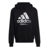 ADIDAS CAT Graphic Hoody Men 1 ADIDAS CAT Graphic Hoody Men -Tennis Zone Shop 16804000 000