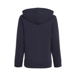 ADIDAS Colorblock 3-Stripes Hoody Boys -Tennis Zone Shop 18064000 0 2